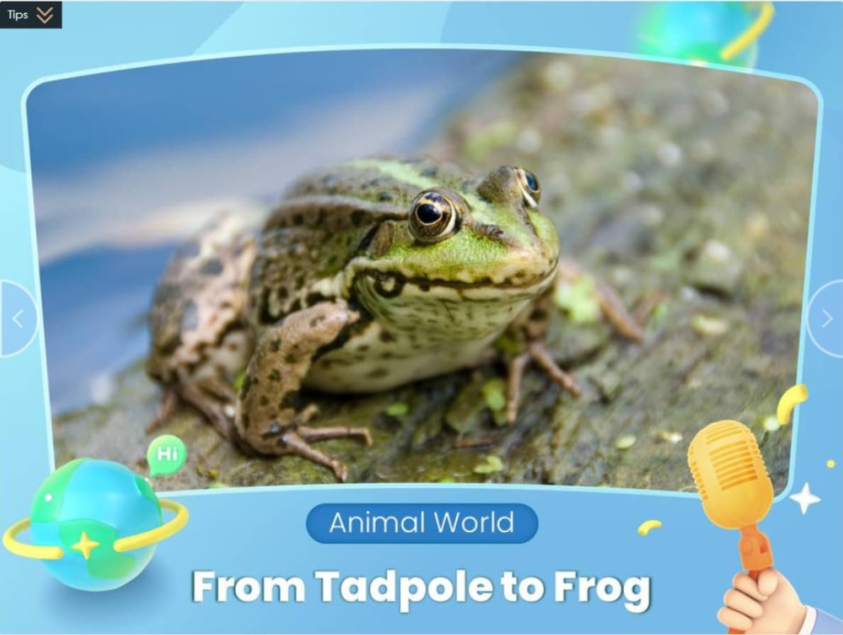 An image of a VIPKid teacher guiding a K-12 student with the words from EIF-L1-U2-LC2-4 Dressing Up to frog.