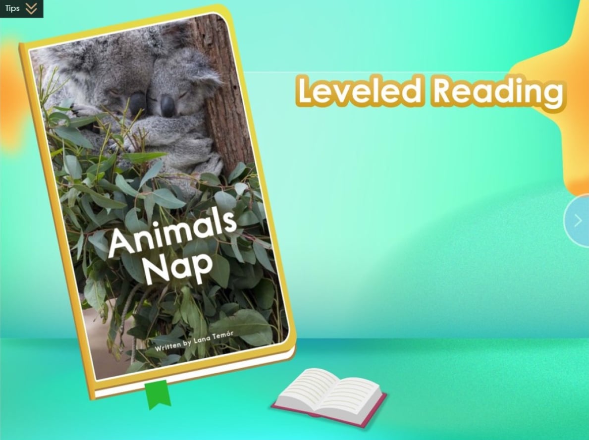 A book with a koala on it and the words leveled reading, suitable for teachers who need teaching resources for their lesson plans about animals' naps.