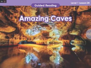 Reading - Level 1