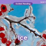 A picture of ice with red berries on it that can be used in lesson plans for K-12 teachers.