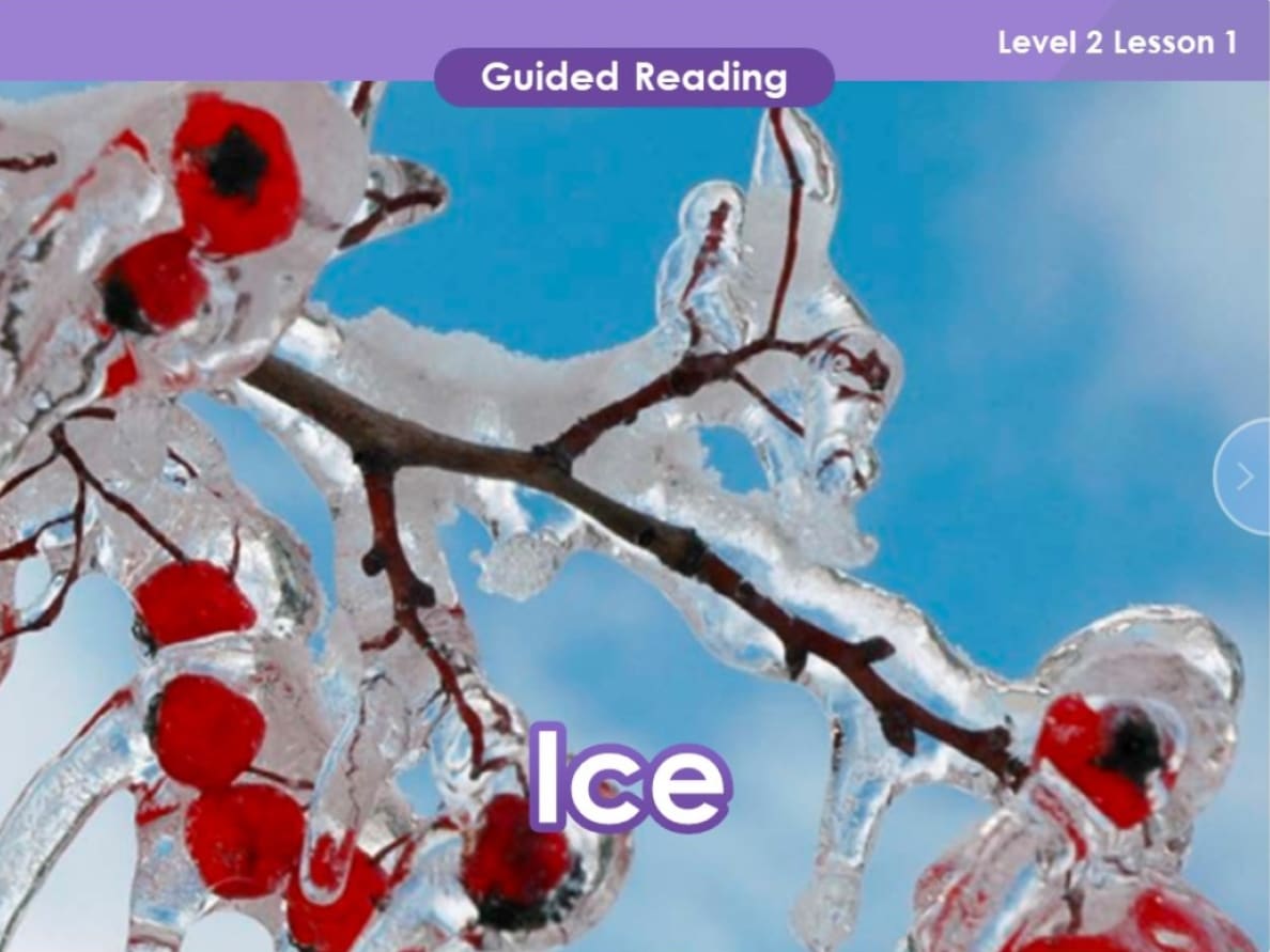 A picture of ice with red berries on it that can be used in lesson plans for K-12 teachers.