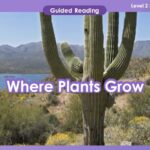 A picture of a cactus showing where plants grow, perfect for teaching resources.