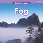 A book with the title fog that includes lesson plans for K-12 students.