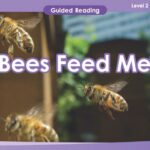 Guided reading is an essential teaching resource for K-12 students. It provides valuable lessons on various topics, including the fascinating world of bees and their feeding habits. Bees feed me lesson is a