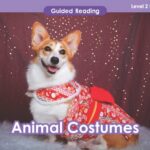 A VIPKid teaching resource includes a corgi dressed in a kimono, perfect for guided reading lessons and animal costumes.