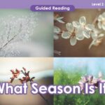 Guided reading- teaching resources for K-12 students: what season is it?