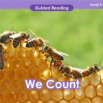 Bees on a honeycomb with the words we count are the perfect educational tool for K-12 students. VIPKid, an online platform, provides teacher-led instruction to students worldwide.