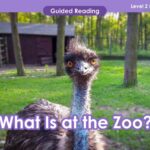 What is at the zoo- VIPKid teacher teaching resources thumbnail.