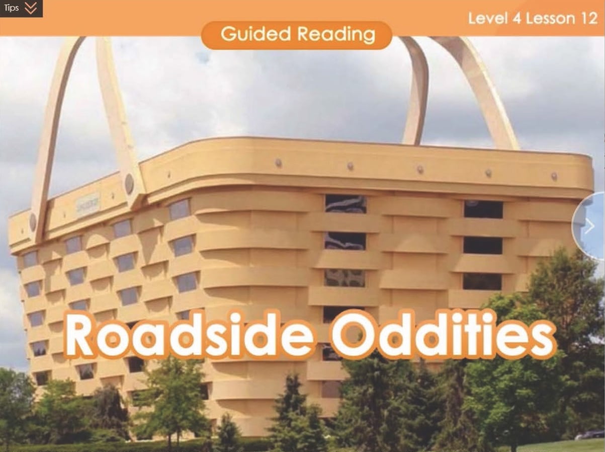 Roadside oddities - VIPKid teacher.