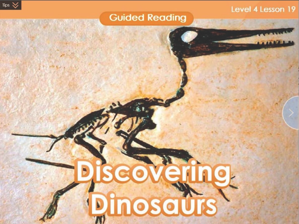 Guided reading lesson 17 discovering dinosaurs with teaching resources for K-12 students.