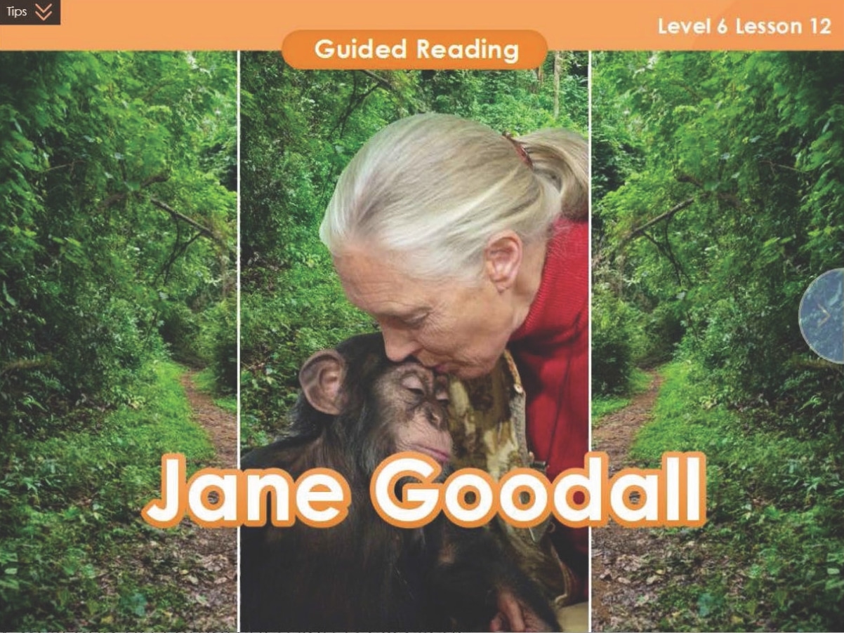 Jane Goodall, a VIPKid teacher, is a valuable resource for teaching materials.