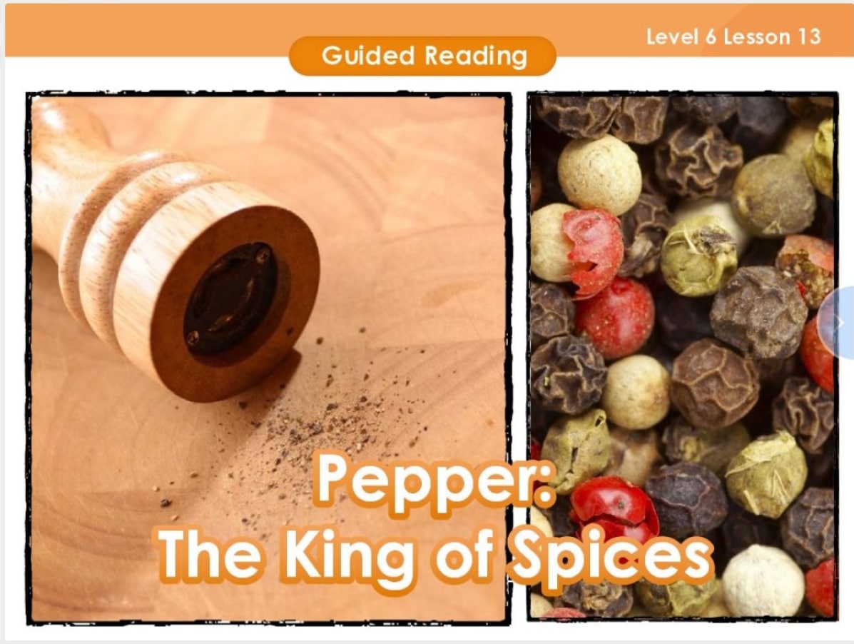 Pepper, the VIPKid teacher, is the king of K-12 spices.