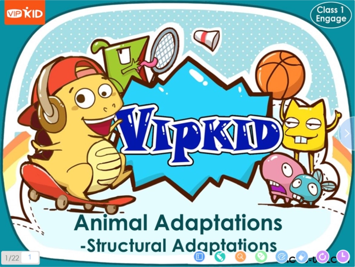 VIPKid teacher prepares lesson plans on animal adaptations and structural adaptations.