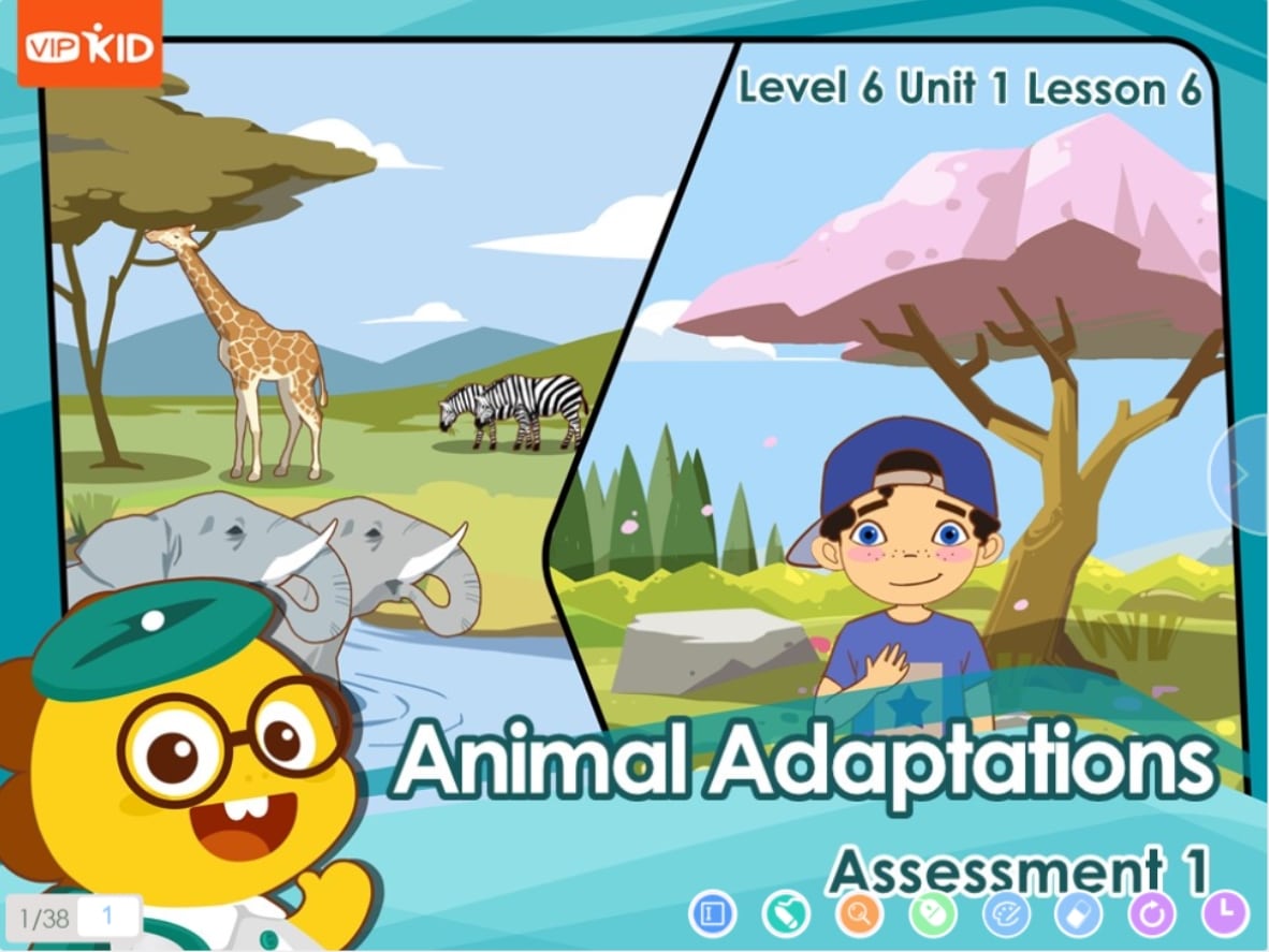 Animal adaptations assessment - teaching resources.