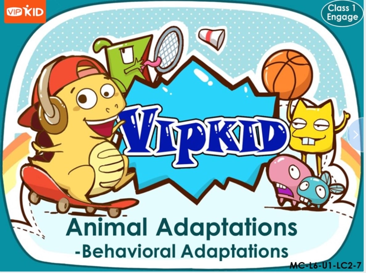 Vipkid offers teaching resources for K-12 students to learn about animal adaptations and behavioral adaptations.